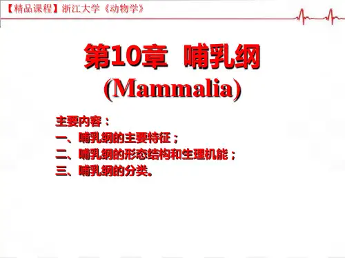 【精品课程】浙江大学《动物学》-第10章-哺乳纲------优质课件