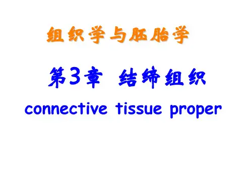 《组织与胚胎学》第3章 结缔组织