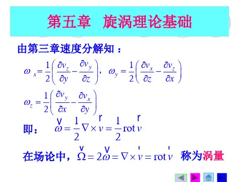 第五章漩涡理论基础