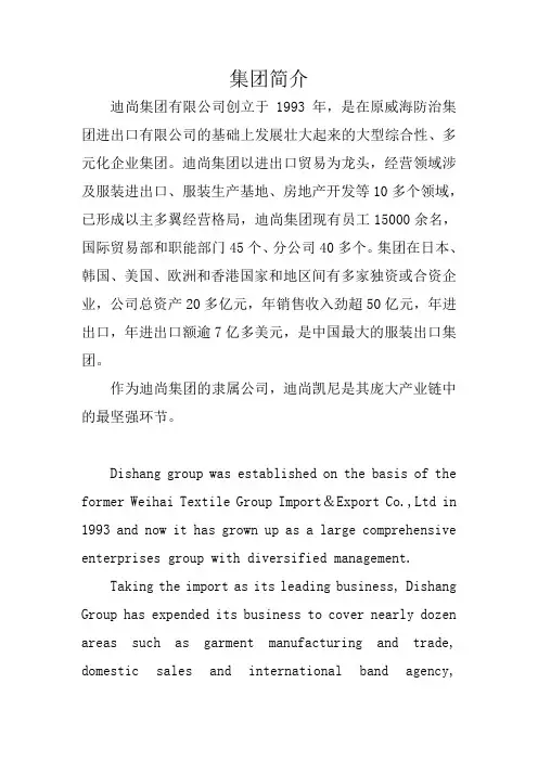 迪尚集团简介