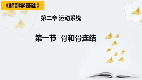 解剖学基础第二章《运动系统》PPT课件