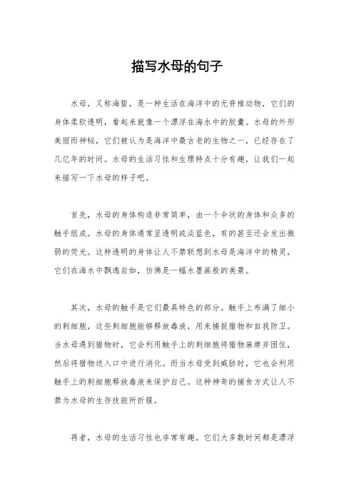 描写水母的句子