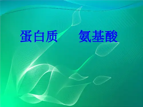 氨基酸PPT课件