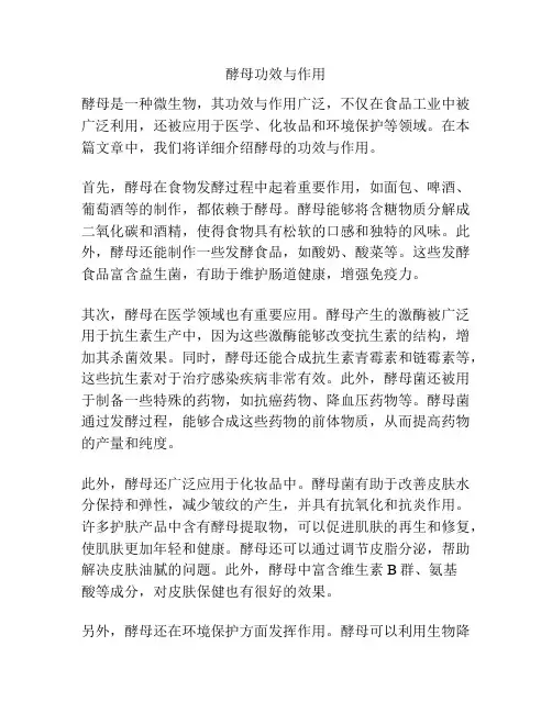 酵母功效与作用