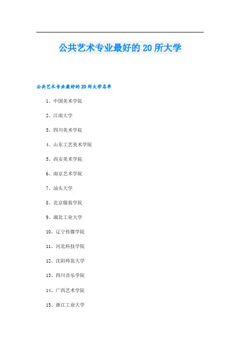 公共艺术专业最好的20所大学