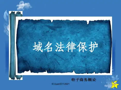 域名的法律保护ppt课件