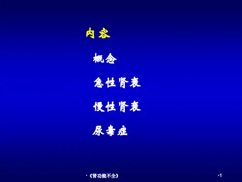 肾功能不全课件