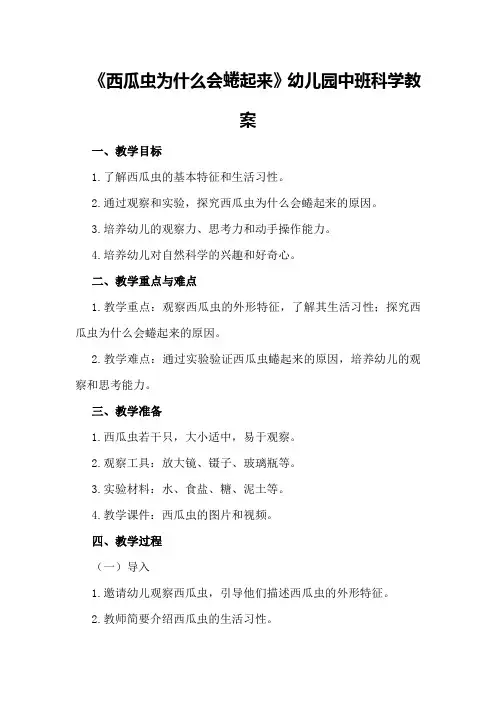 2024年《西瓜虫为什么会蜷起来》幼儿园中班科学教案