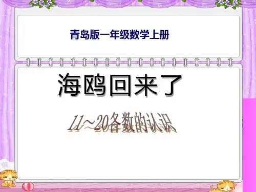 青岛版一年级上册数学《海鸥回来了》说课教学复习课件