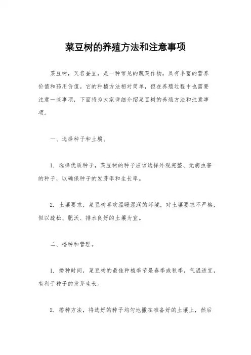 菜豆树的养殖方法和注意事项