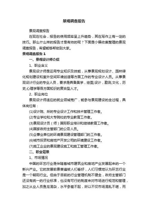 景观调查报告