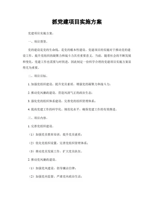 抓党建项目实施方案