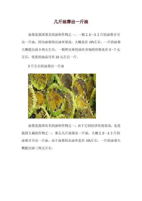 几斤油葵出一斤油