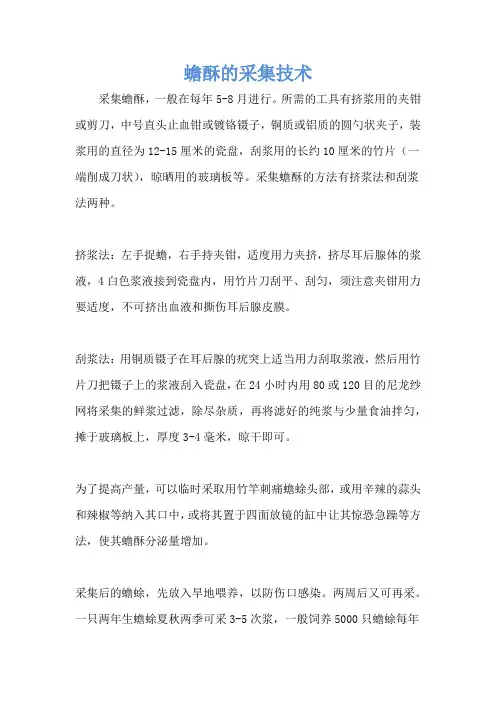 蟾酥的采集技术