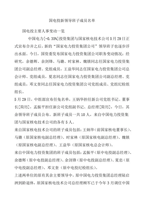 国电投新领导班子成员名单