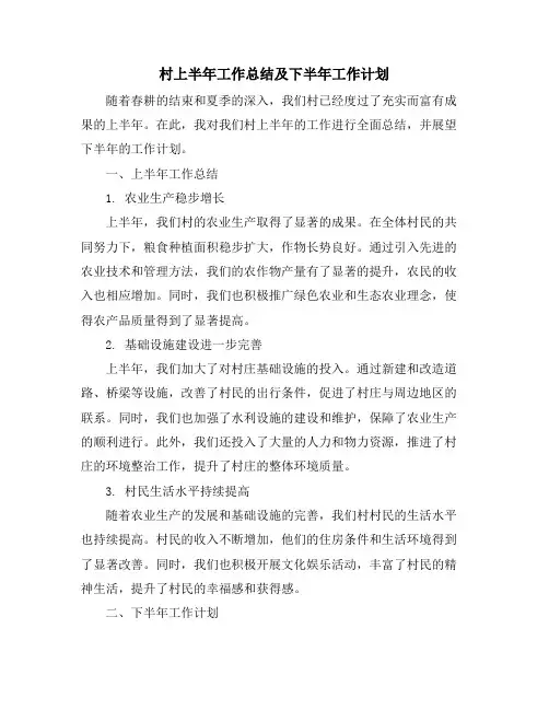 村上半年工作总结及下半年工作计划