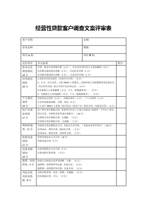 经营性贷款报告评分表