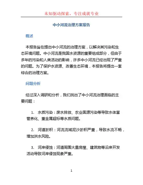 中小河流治理方案报告 (5)
