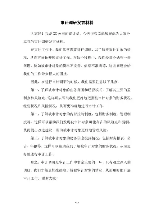 审计调研发言材料