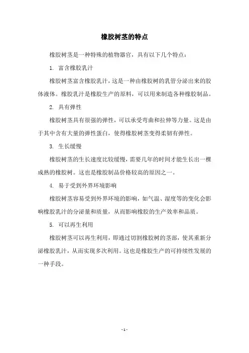 橡胶树茎的特点