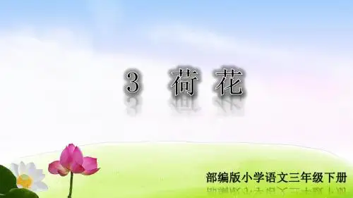 部编版三年级语文下册第3课《荷花》精品课件(共121张PPT)