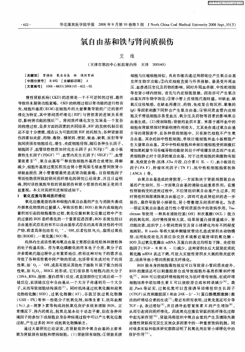 氧自由基和铁与肾间质损伤