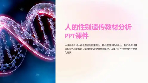 人的性别遗传教材分析-课件