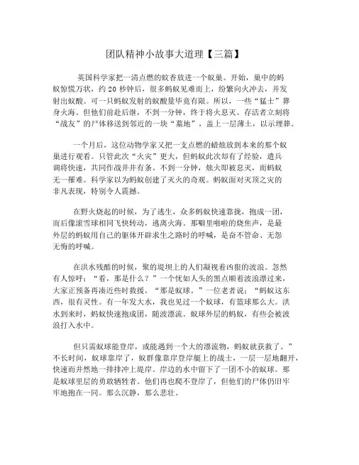 团队精神小故事大道理【三篇】