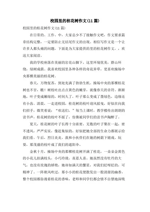 校园里的桂花树作文(11篇)