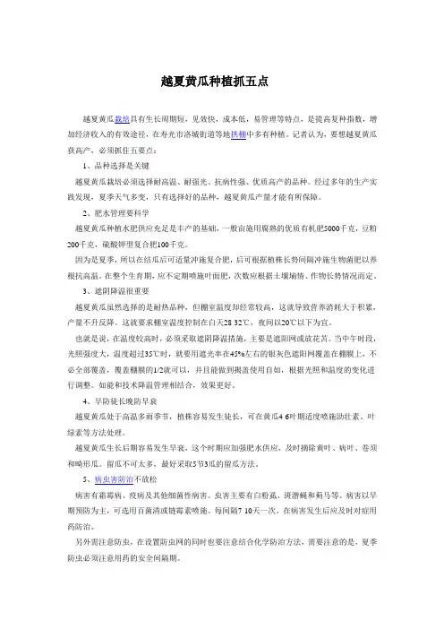 寿光蔬菜种植技术——越夏黄瓜种植