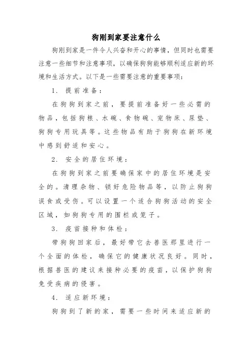 狗刚到家要注意什么