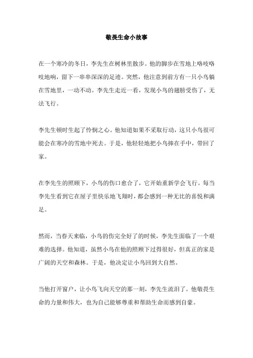敬畏生命小故事