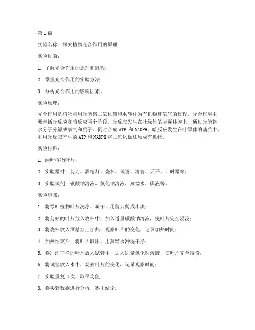 实验报告说明书(3篇)