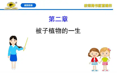 中考生物《被子植物的一生》复习课件