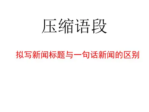 新闻标题、导语、一句话新闻、评论压缩语段
