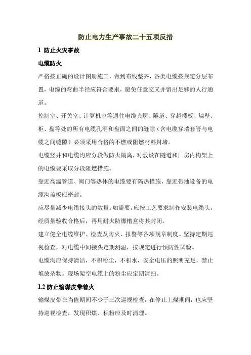 防止电力生产事故二十五项反措