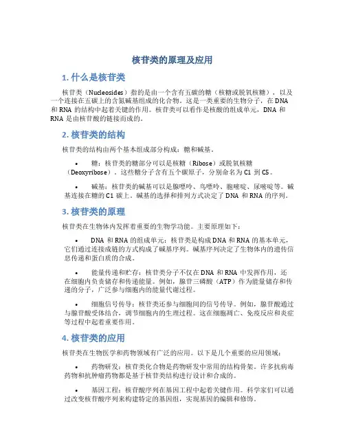 核苷类的原理及应用