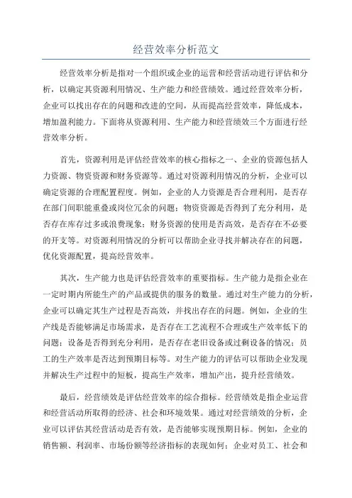 经营效率分析范文