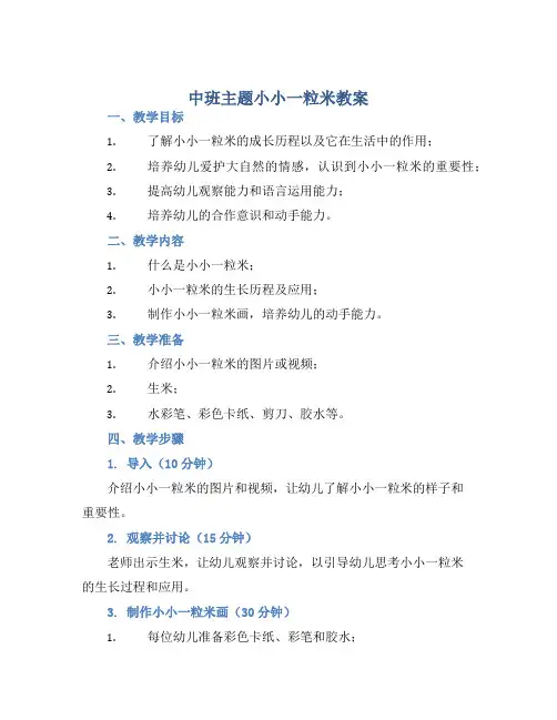 中班主题小小一粒米教案