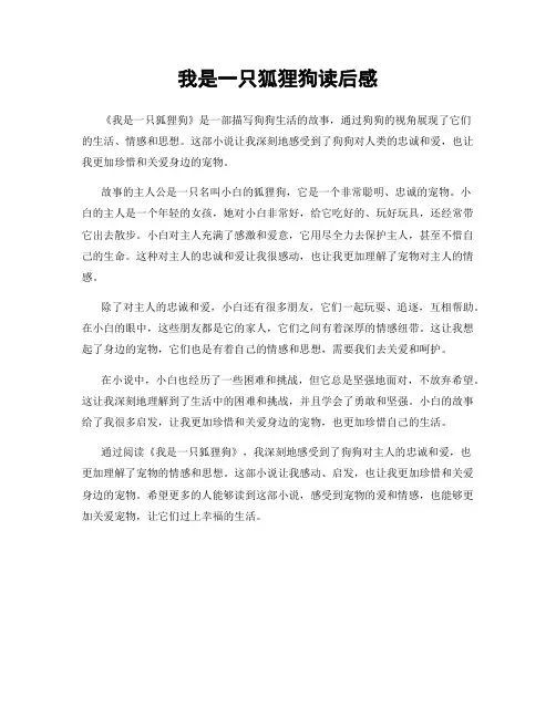 我是一只狐狸狗读后感
