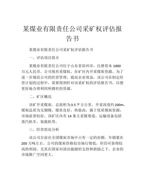 某煤业有限责任公司采矿权评估报告书