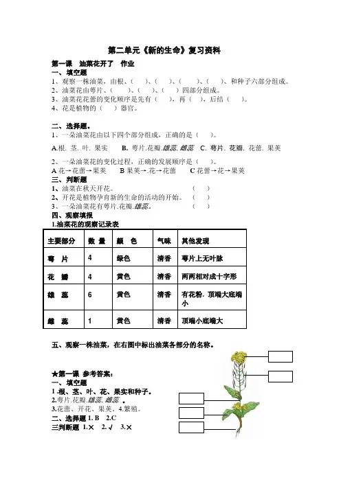 教科版四年级科学下册第二单元新的生命课时练习题及答案