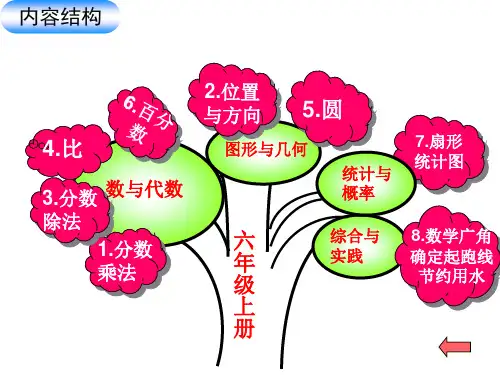 六年级数学上册思维导图知识树