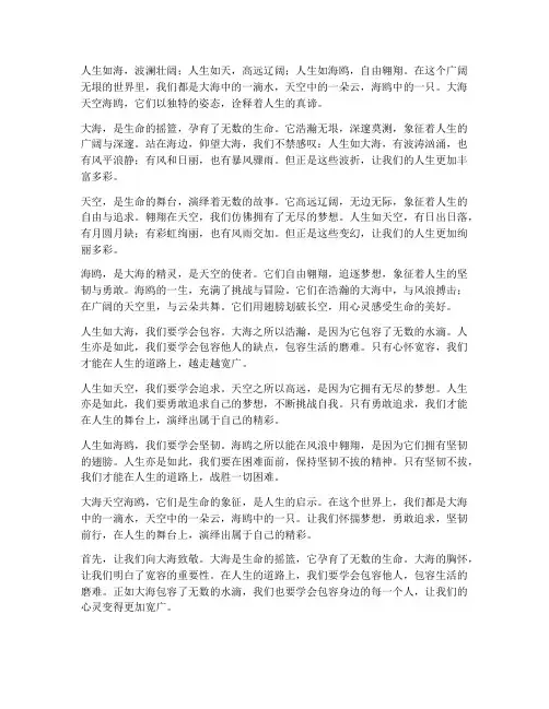 大海天空海鸥人生感言