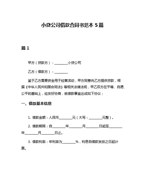 小贷公司借款合同书范本5篇