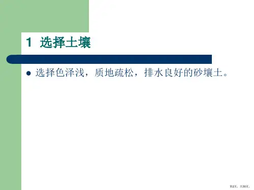 花生高产栽培技术.课件