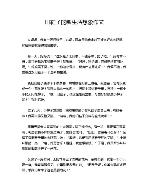 旧鞋子的新生活想象作文