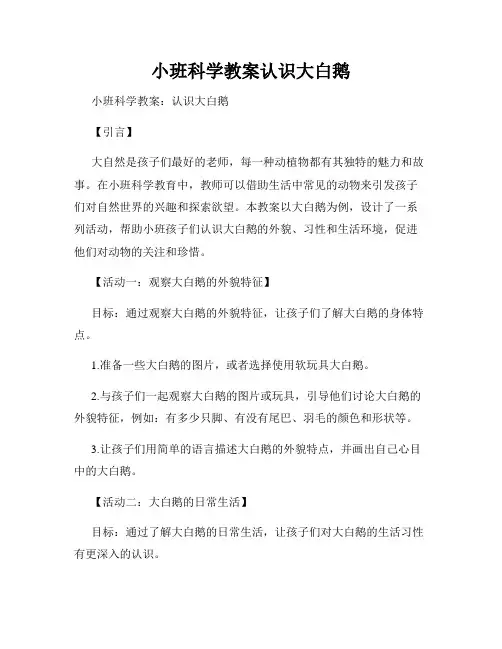 小班科学教案认识大白鹅