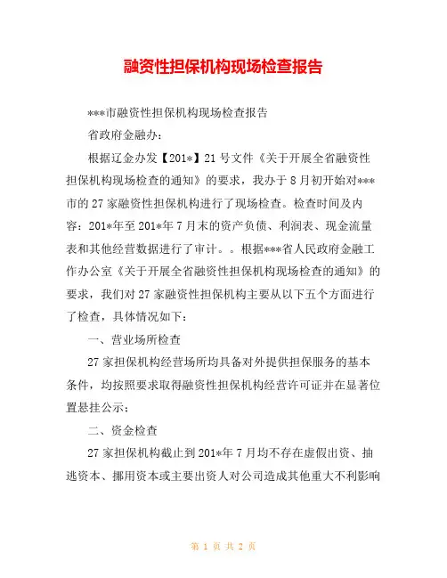 融资性担保机构现场检查报告
