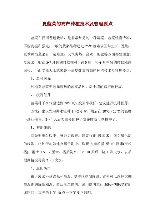 夏菠菜的高产种植技术及管理要点